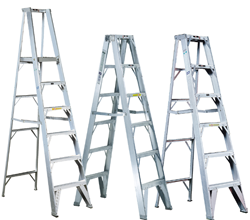 Cable Tray & Ladders